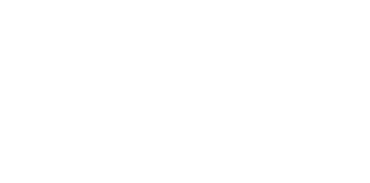 Precision Bird